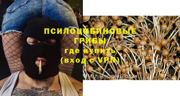 трава Бугульма