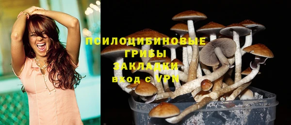 прущие грибы Переславль-Залесский